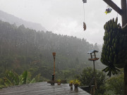 IMG20210418124151