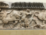 IMG3763