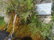 IMG20200723185036