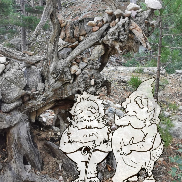 domoAlbertacce
