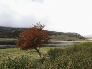 IMG20200924114149
