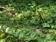 IMG20201128084917