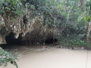 IMG20210201143115