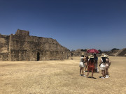 IMG9531