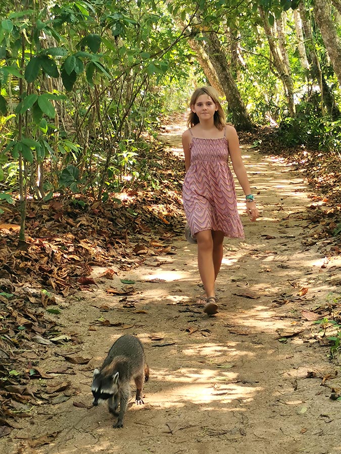 Immersion au cœur de la faune costaricienne