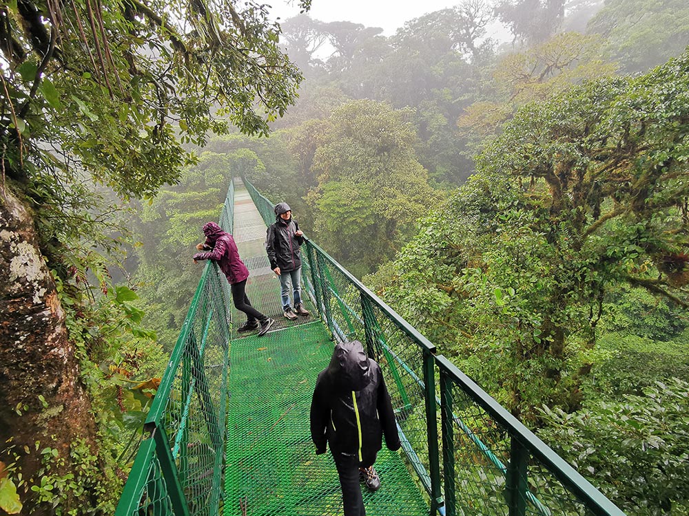 Monteverde