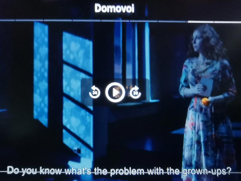 domovoi2
