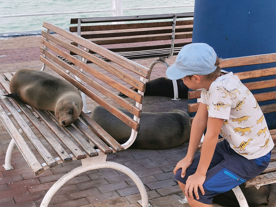 Les chose bizarres des Galapagos