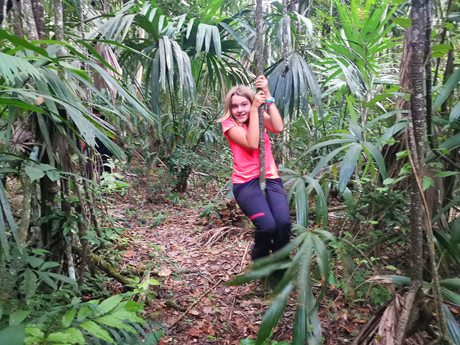 Trek dans la jungle !