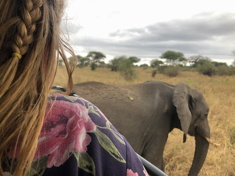 Safari de Faustine